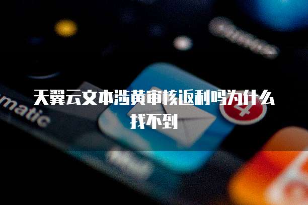 天翼云文本涉黄审核返利吗为什么找不到