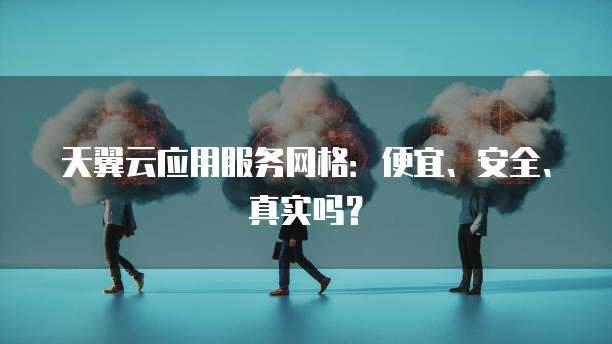 天翼云应用服务网格：便宜、安全、真实吗？