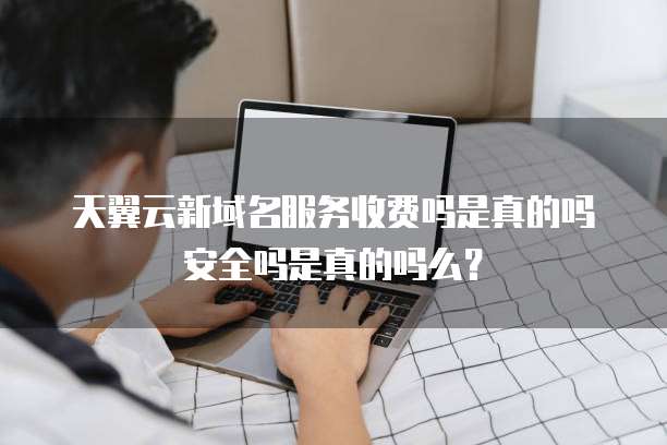 天翼云新域名服务收费吗是真的吗安全吗是真的吗么?