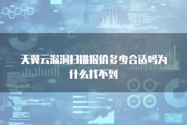 天翼云漏洞扫描报价多少合适吗为什么找不到