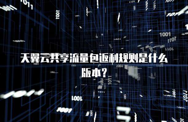 天翼云共享流量包返利规则是什么版本?