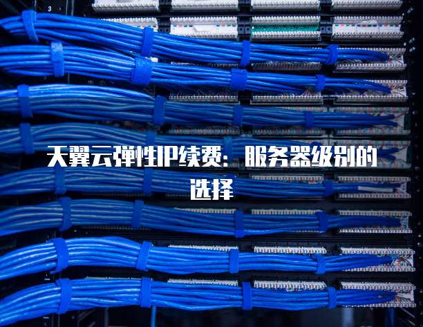 天翼云弹性IP续费:服务器级别的选择