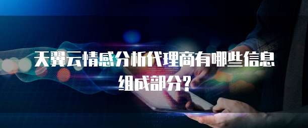 天翼云情感分析代理商有哪些信息组成部分?