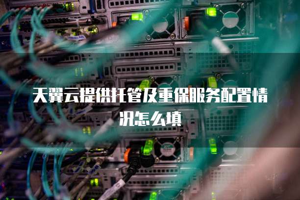 天翼云提供托管及重保服务配置情况怎么填