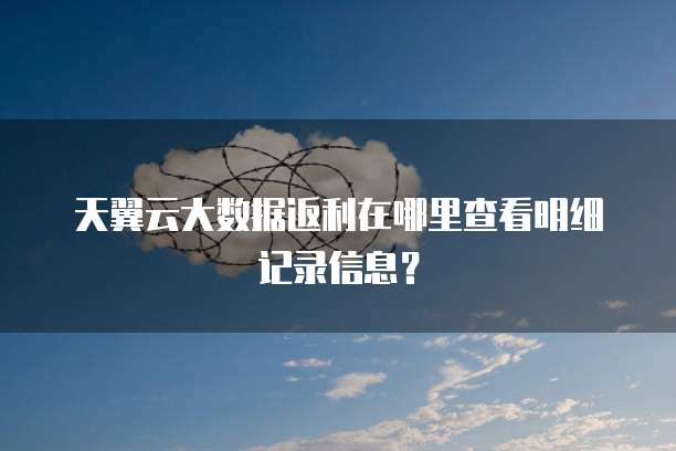 天翼云大数据返利在哪里查看明细记录信息?