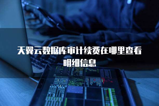 天翼云数据库审计续费在哪里查看明细信息