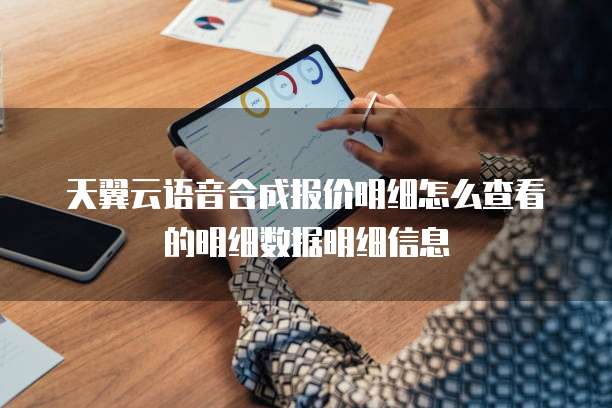 天翼云语音合成报价明细怎么查看的明细数据明细信息