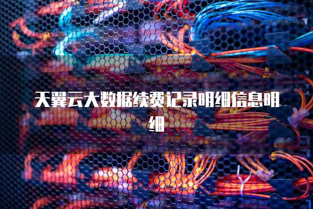 天翼云大数据续费记录明细信息明细