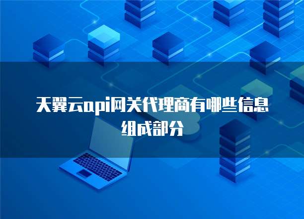 天翼云api网关代理商有哪些信息组成部分