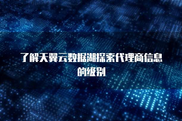 了解天翼云数据湖探索代理商信息的级别