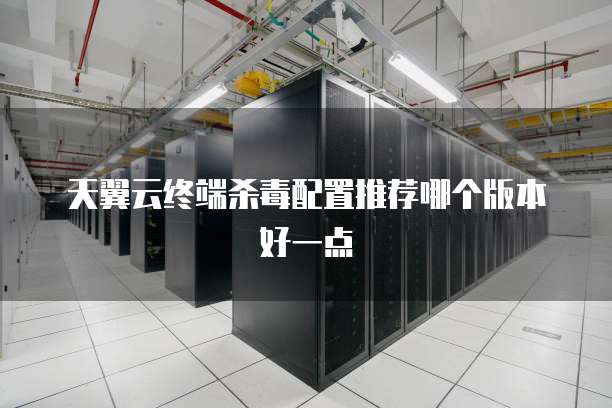 天翼云终端杀毒配置推荐哪个版本好一点