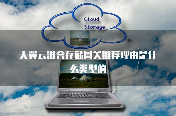 天翼云混合存储网关推荐理由是什么类型的