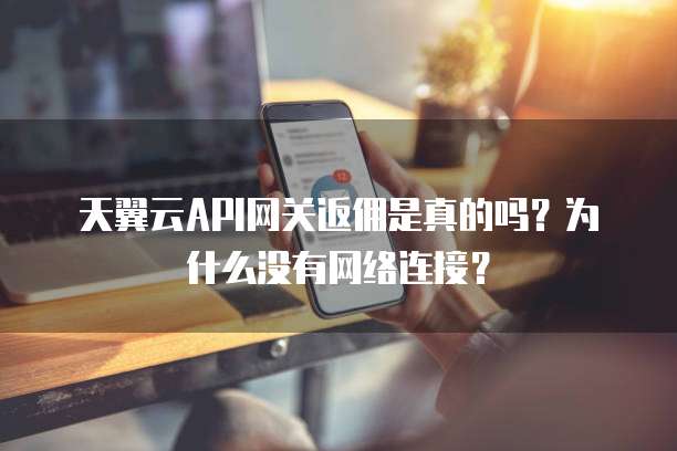 天翼云API网关返佣是真的吗?为什么没有网络连接?