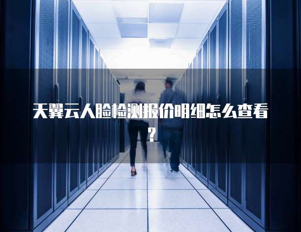 天翼云人脸检测报价明细怎么查看？

