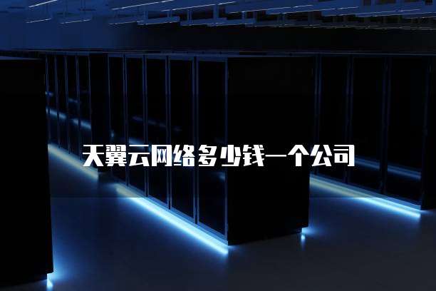 天翼云网络多少钱一个公司