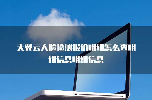 天翼云人脸检测报价明细怎么查明细信息明细信息