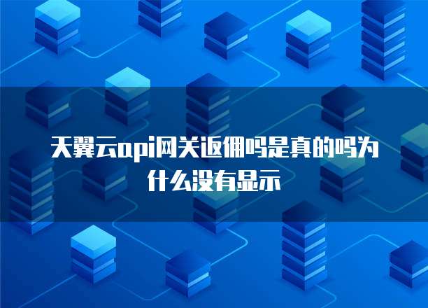 天翼云api网关返佣吗是真的吗为什么没有显示