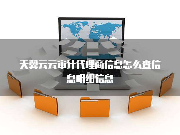 天翼云云审计代理商信息怎么查信息明细信息