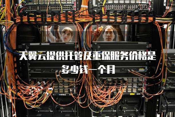 天翼云提供托管及重保服务价格是多少钱一个月