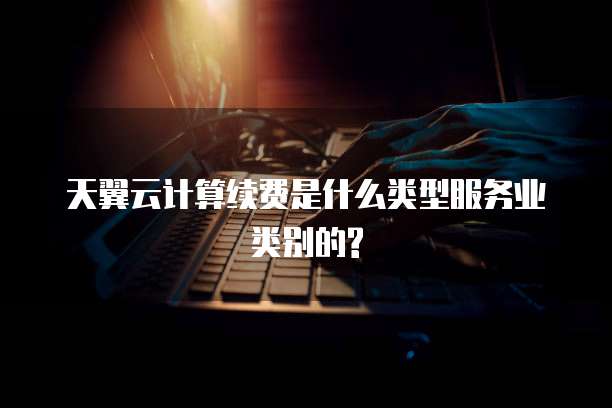 天翼云计算续费是什么类型服务业类别的?