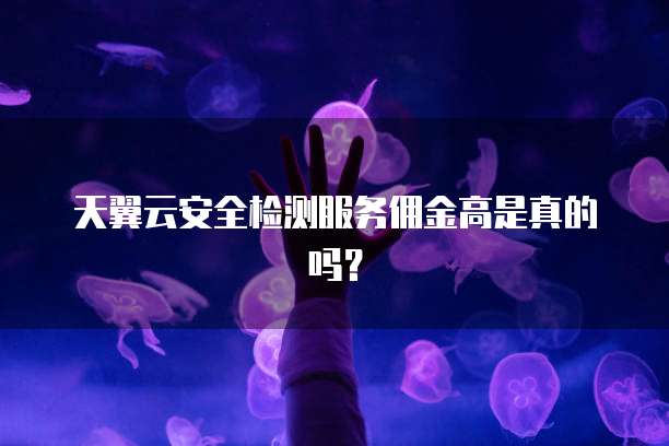 天翼云安全检测服务佣金高是真的吗？