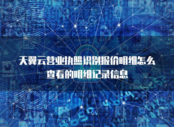 天翼云营业执照识别报价明细怎么查看的明细记录信息