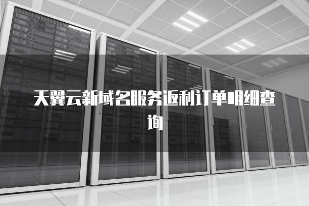 天翼云新域名服务返利订单明细查询