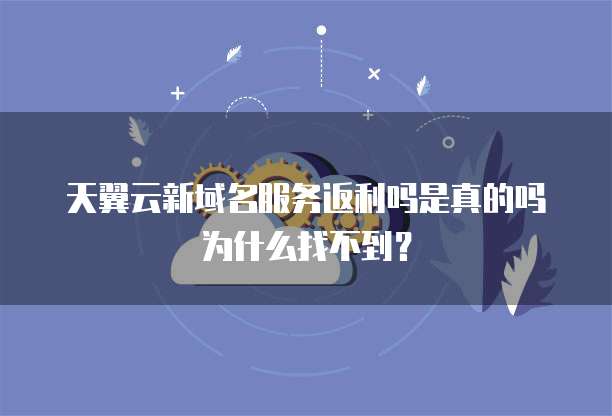 天翼云新域名服务返利吗是真的吗为什么找不到？