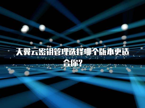 天翼云密钥管理选择哪个版本更适合你？