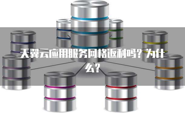 天翼云应用服务网格返利吗?为什么?
