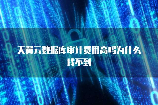 天翼云数据库审计费用高吗为什么找不到