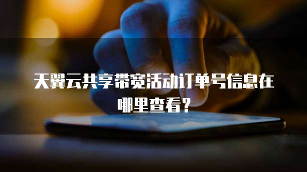 天翼云共享带宽活动订单号信息在哪里查看?