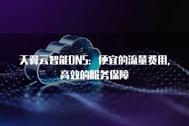 天翼云智能DNS:便宜的流量费用,高效的服务保障