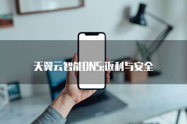 天翼云智能DNS:返利与安全