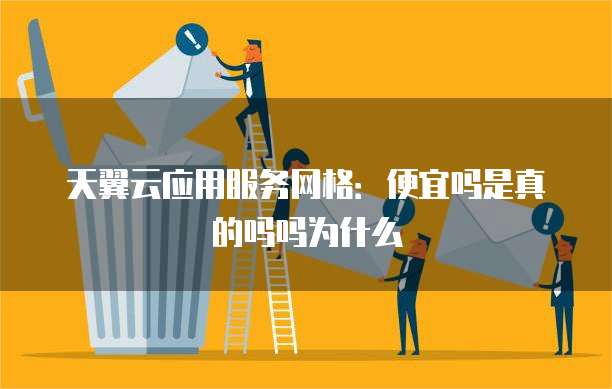 天翼云应用服务网格:便宜吗是真的吗吗为什么