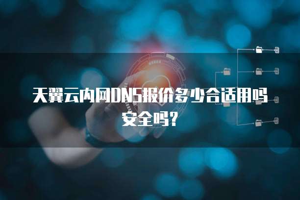 天翼云内网DNS报价多少合适用吗安全吗?