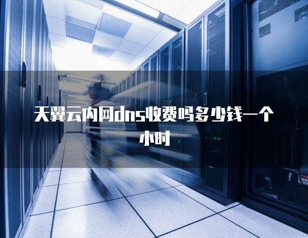 天翼云内网dns收费吗多少钱一个小时