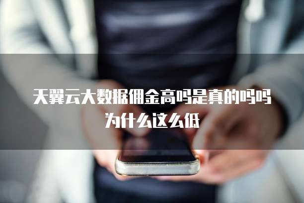 天翼云大数据佣金高吗是真的吗吗为什么这么低
