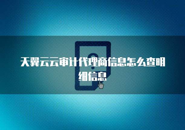 天翼云云审计代理商信息怎么查明细信息