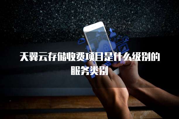 天翼云存储收费项目是什么级别的服务类别