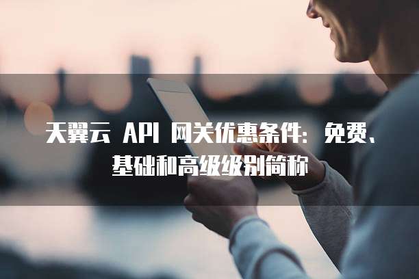 天翼云 API 网关优惠条件:免费、基础和高级级别简称