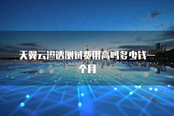 天翼云渗透测试费用高吗多少钱一个月