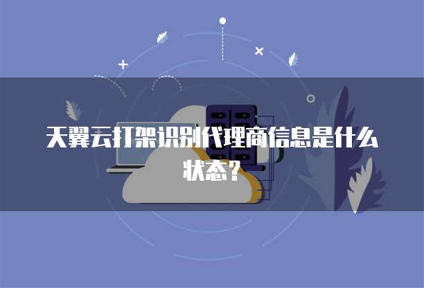 天翼云打架识别代理商信息是什么状态?