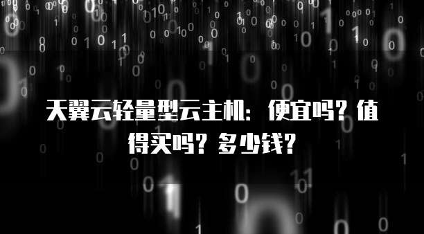 天翼云轻量型云主机:便宜吗?值得买吗?多少钱?