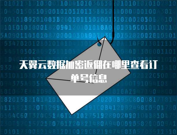 天翼云数据加密返佣在哪里查看订单号信息