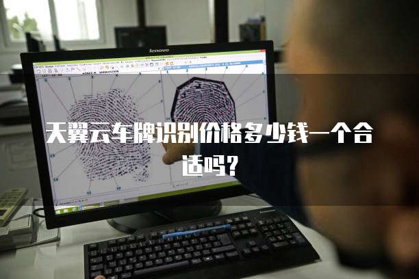 天翼云车牌识别价格多少钱一个合适吗?