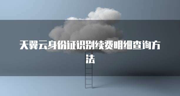 天翼云身份证识别续费明细查询方法
