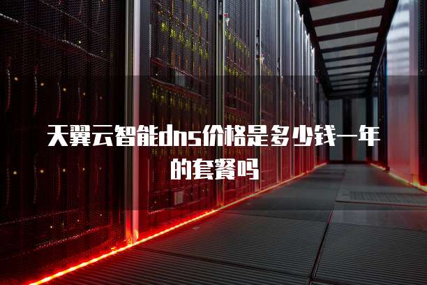 天翼云智能dns价格是多少钱一年的套餐吗