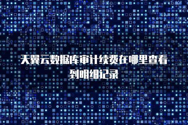 天翼云数据库审计续费在哪里查看到明细记录