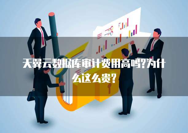 天翼云数据库审计费用高吗?为什么这么贵?